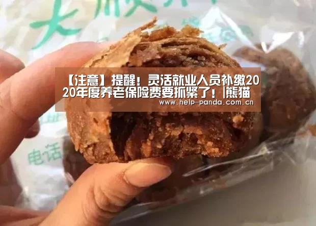 熊猫体育app