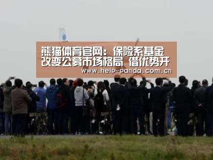 熊猫体育官网:保险系基金改变公募市场格局 借优势开发新产品(图2) 熊猫体育平台
