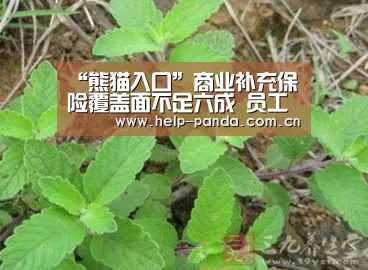 “熊猫入口”商业补充保险覆盖面不足六成 员工福利保障待提升(图1) 熊猫体育平台