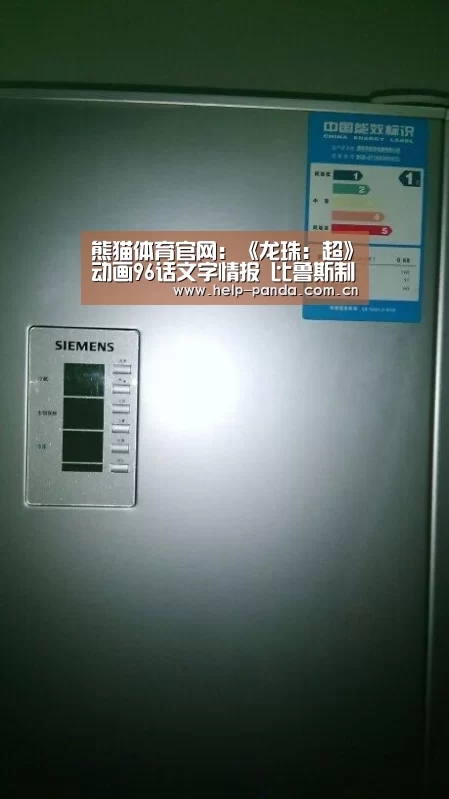 熊猫体育官网
