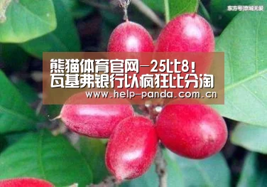 熊猫体育官网-25比8!瓦基弗银行以疯狂比分淘汰莫斯科,朱婷体现完美(图4) 熊猫体育官网