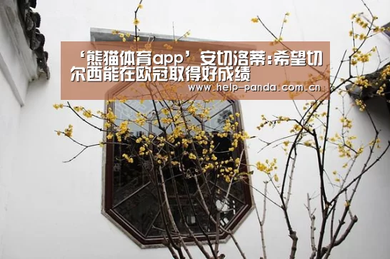 ‘熊猫体育app’安切洛蒂:希望切尔西能在欧冠取得好成绩(图1) 熊猫体育app