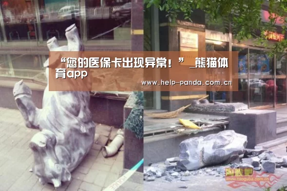 熊猫入口