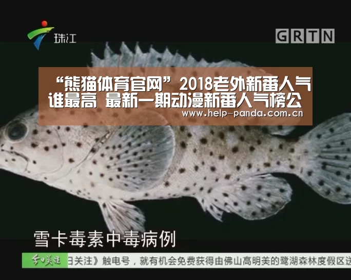熊猫体育官网