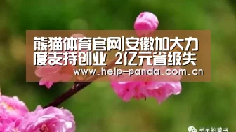 熊猫体育官网|安徽加大力度支持创业 2亿元省级失业保险调剂金将入账(图1) 熊猫体育平台
