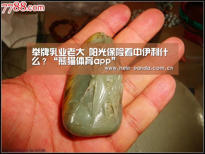 举牌乳业老大 阳光保险看中伊利什么?“熊猫体育app”(图2) 熊猫入口