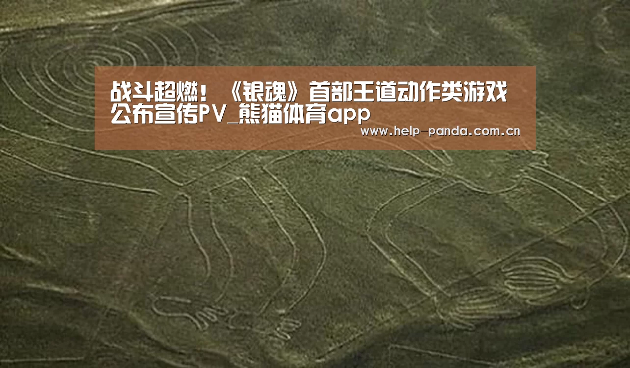 熊猫体育官网