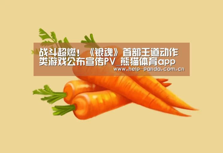 熊猫体育官网