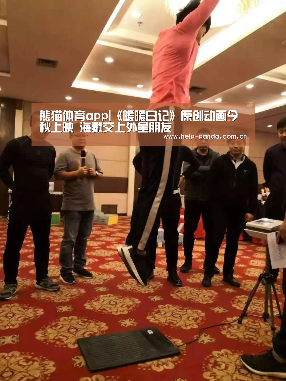 熊猫体育官网