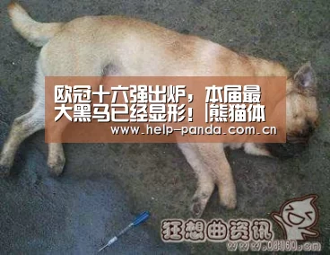 熊猫入口